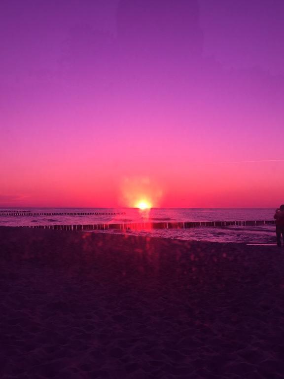 Ferienwohnungen Hofmann Zingst Esterno foto